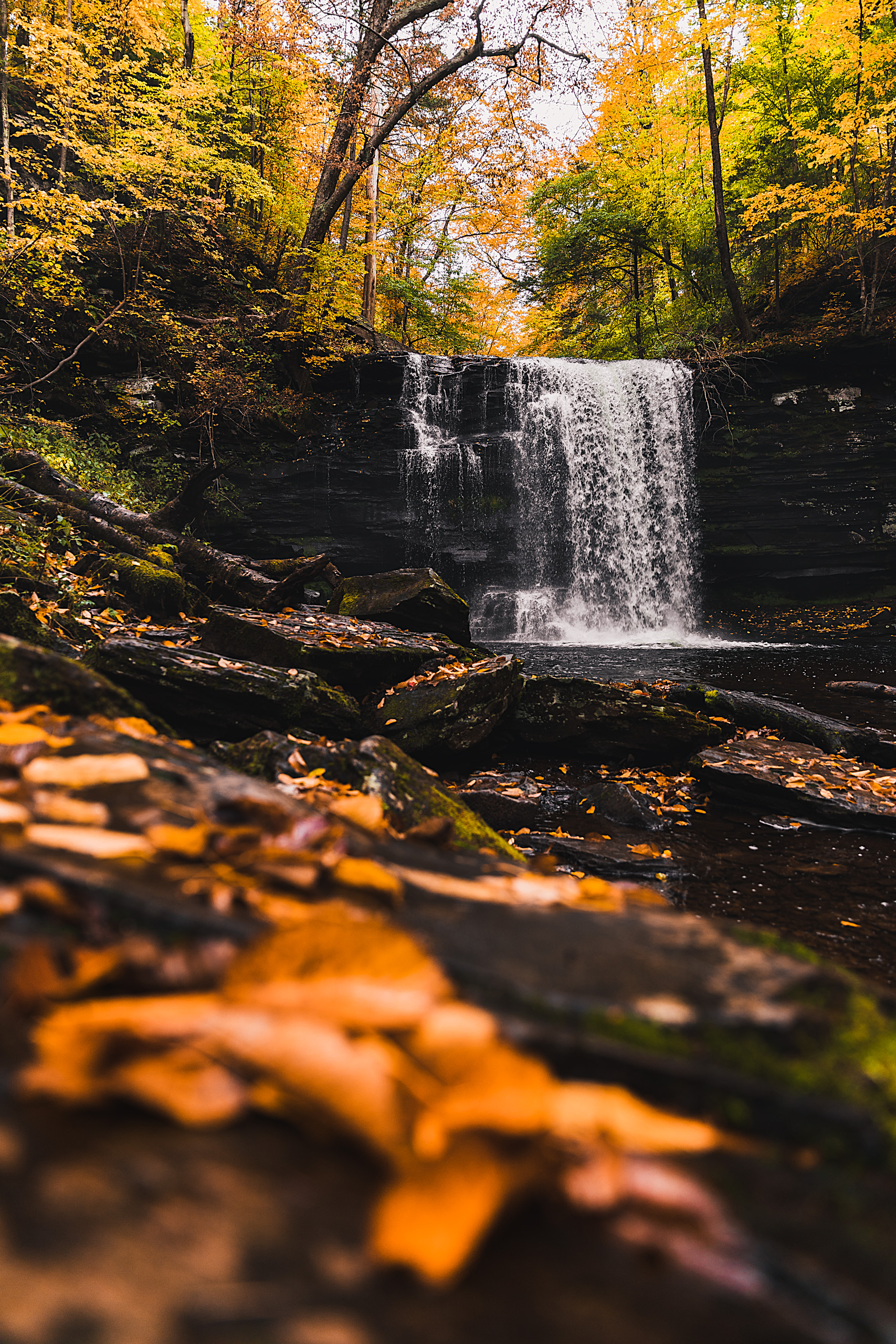 Harrison Wright Falls