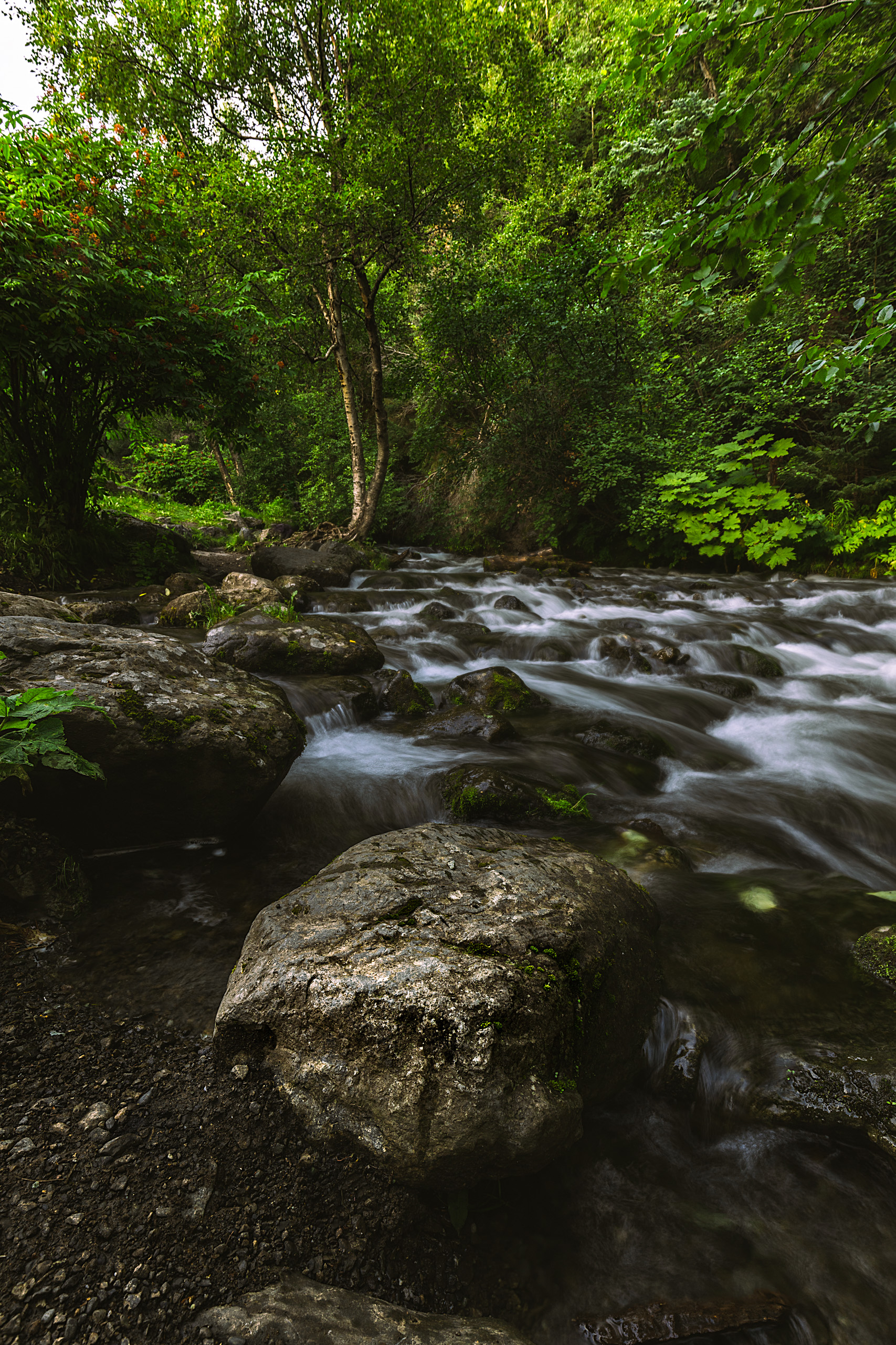 McHugh Creek